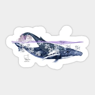 Humpbacks Sticker